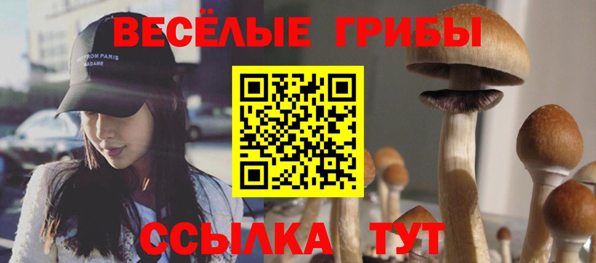 Рязань  Псилоцибиновые грибы Cubensis  купить  цена  Вход с VPN 